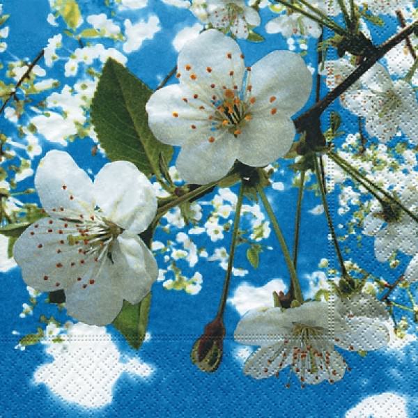 Servietten 33x33 Blossoms-in-the-Sky 20 Stück