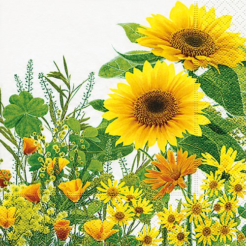Partytischdecke.de | Servietten 25x25 Yellow Meadow 20 Stück
