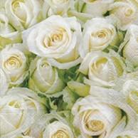 Partytischdecke.de | Servietten 33x33 White roses 20 Stück