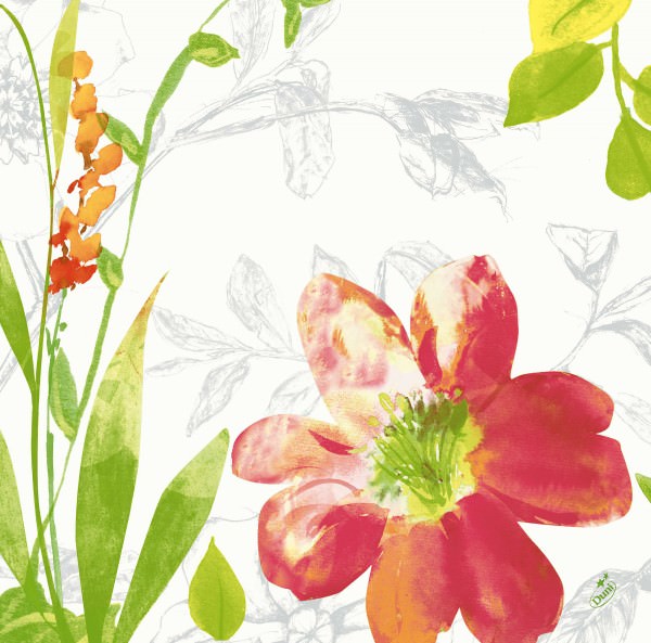 Partytischdecke.de | Serviette Duni Dunisoft 40x40 Summertime Red