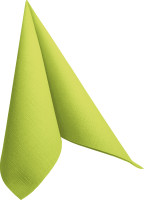 Partytischdecke.de | Serviette Duni Dunilin 40x40 kiwi