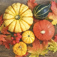 Partytischdecke.de | Servietten 33x33 Pumpkin collection 20 Stück