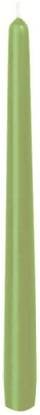 Partytischdecke.de | Leuchterkerzen herbal green 50er Pack