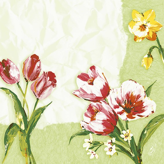 Partytischdecke.de | Duni Serviette Dunilin Red Tulip 40x40