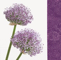 Partytischdecke.de | Servietten 33x33 Allium 20 Stück