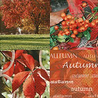Partytischdecke.de | Servietten 25x25 Autumn nature 20 Stück