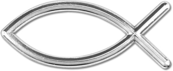 Partytischdecke.de | Deko-Fisch silber Größe 30x12 15 Stück