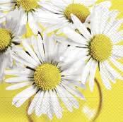 Partytischdecke.de | Servietten 33x33 White Bellis 20 Stück