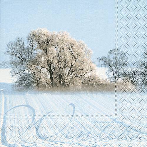 Partytischdecke.de | Servietten 33x33 A winter dream 20 Stück