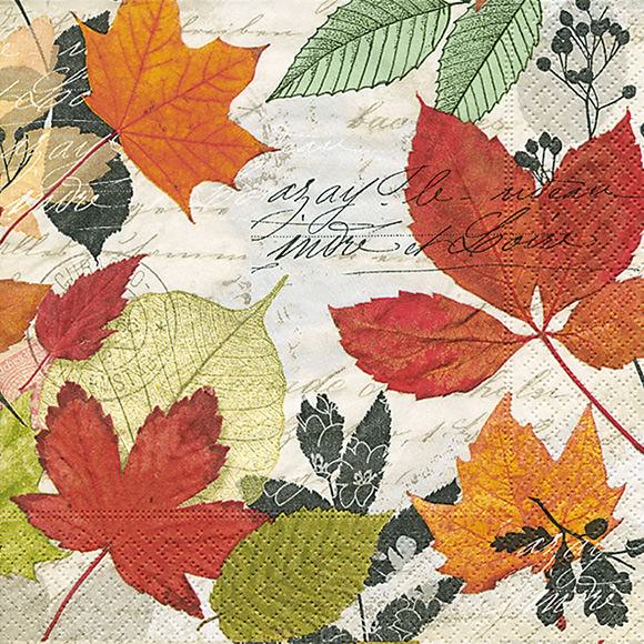 Servietten 25x25 Herbarium 20 Stück